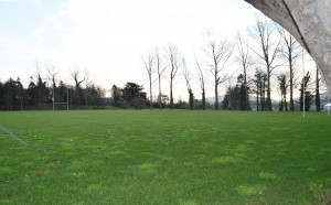 rugby pitch